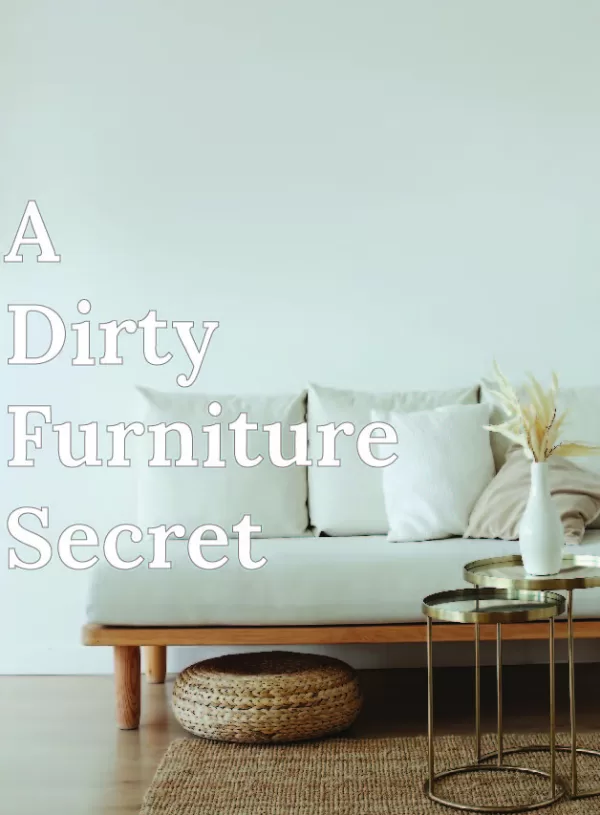 The Dirty Truth about High-End Furniture Stores