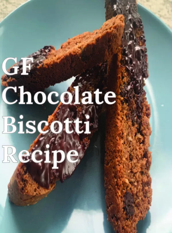 The Best Gluten-Free & Dairy-Free Chocolate Biscotti