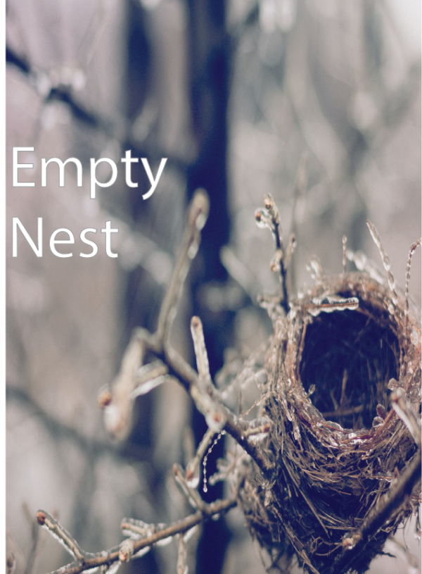 Empty Nest, Full Potential: Transforming your Home after Kids Leave