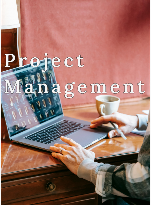 Project Management in the World of Interior Design