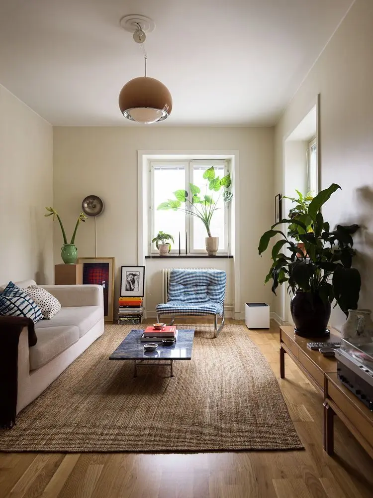Apartment Living Room